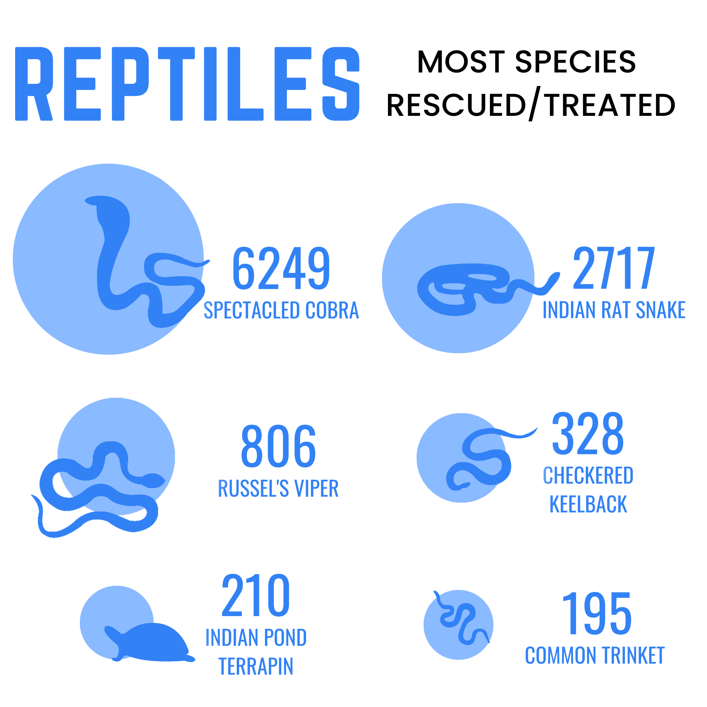 PFA Reptiles 